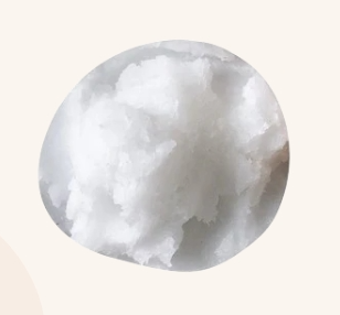 Kokos - Endro - Oel - Kosmetik